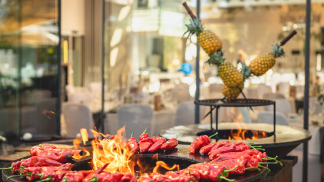 Optimized by JPEGmini 3.14.12.71901706 0xfd504239 Rheinterrassen Karlsruhe Grillparty